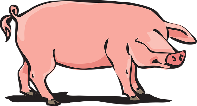 nakreslené prasa.png